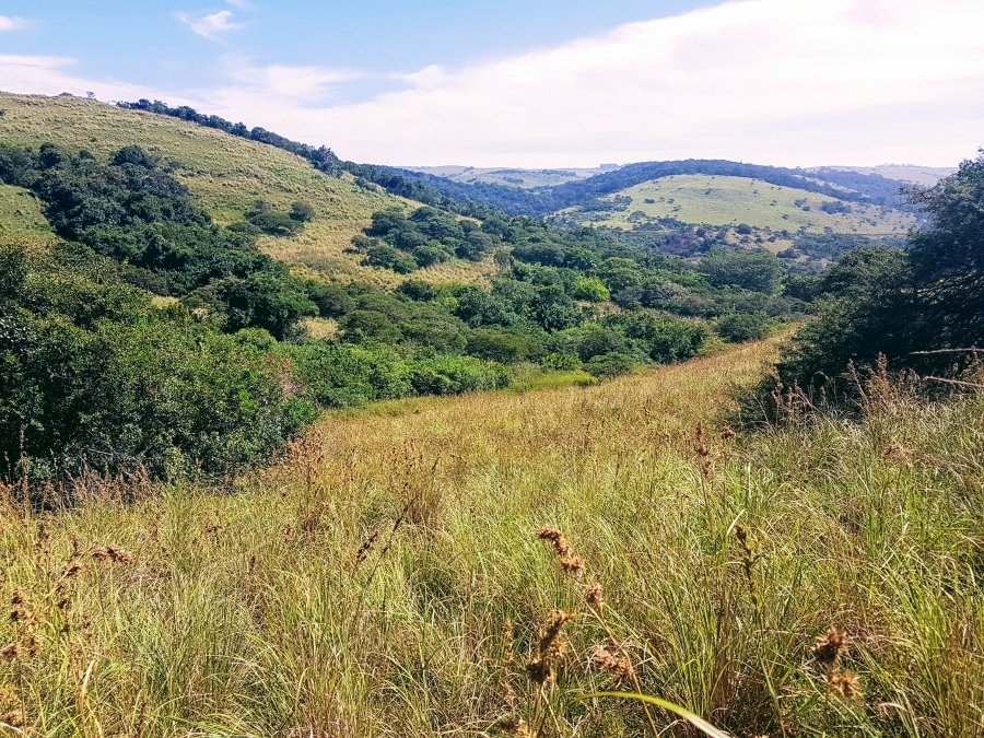 0 Bedroom Property for Sale in Morgans Bay Eastern Cape